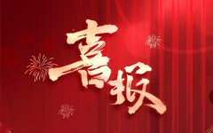 超越娱乐的全球直播体验——HRG真人的创新与未